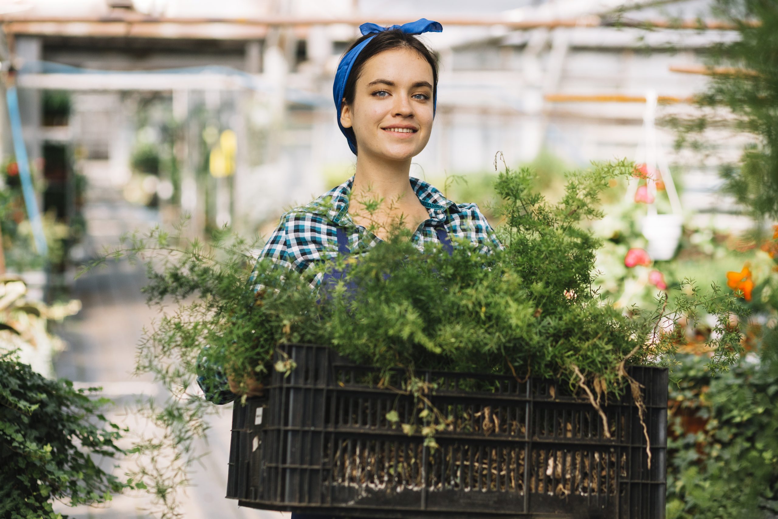 happy-female-gardener-holding-crate-with-fresh-plants